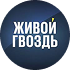 zhivoy gvozd